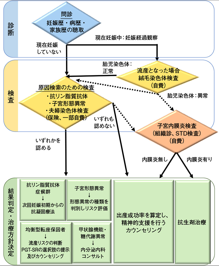 不育症診療アルゴリズム